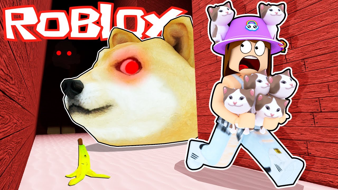 O CACHORRO VAI NOS PEGAR !!! Roblox Escape the Pet Store Obby Gato  Galactico  E o vídeo de hoje é Roblox - ENGOLIDOS PELO CACHORRO GIGANTE ( Escape the Pet Store Obby).