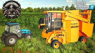 First Coffee Harvest | Coffee Empire Year 2 EP2 : Farming Simulator 22 (SWU reedit)