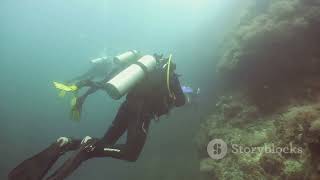 Unraveling the Enigma  Deep Sea Life