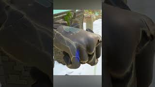 The best/worst luck #curiosity #cats #shorts