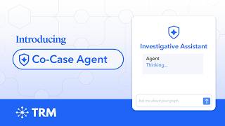 Co-Case Agent | The AI Assistant for Crypto Investigations | TRM Labs