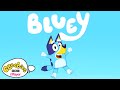 Theme Tune -  Bluey and more | 33  Minutes | CBeebies‌