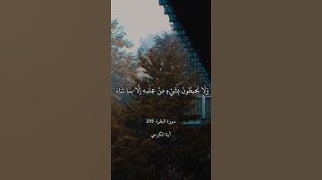 اللَّهُ لَا إِلَٰهَ إِلَّا هُوَ الْحَيُّ الْقَيُّومُ || سورة البقرة || آية الكرسي || علي جابر
