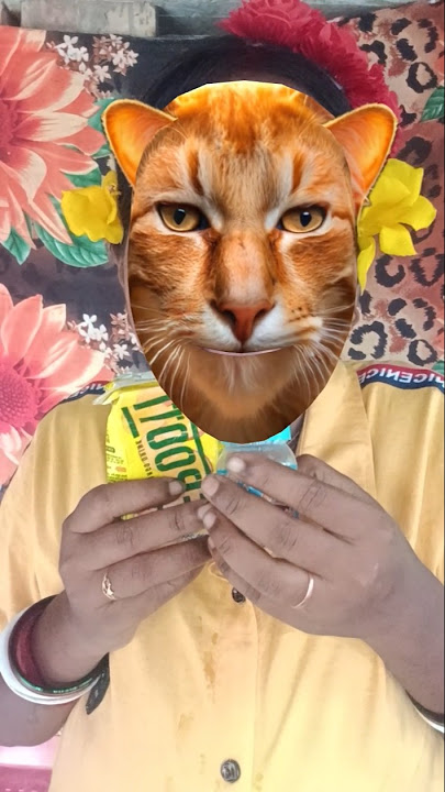 kucing pingin susu#shorts#cat #funny🧑‍🦱🍼🧃🤨😿🍼🤪🤣