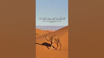 أفلا ينظرون إلى الإبل كيف خلقت 🌿 خالد الجليل 🌿 تلاوة خاشعة ومؤثرة 🌿