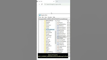 Disable Idm Automatic Update Check For A Faster Downloading Experience