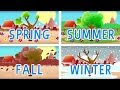 Seasons and Weather Concepts