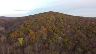 DJI Mavic mini 20201103 foliage check