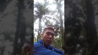 Download Kangok Ndk Ji Menantu Video MP3 Kangok Ndk Ji Menantu