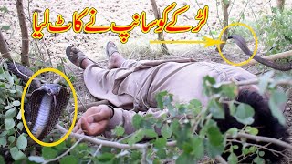 A Person was bitten by Snake and even Jogi could not save him | Amazing Story Naag Jogi