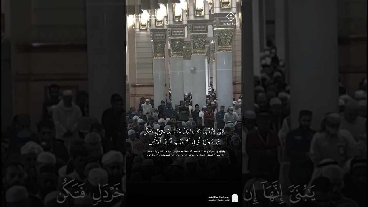تصاميم قصيرة من الحرم النبوي | شهر رجب 1446هـ الحلقة الثانية