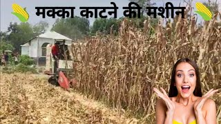 मिनी मकई हार्वेस्टर I मक्का काटने की मशीन I Corn harvester