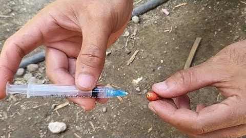 Injecting muriatic acid into coffee seed 