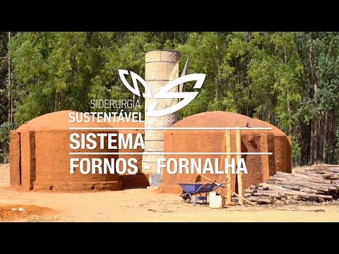 Vídeo: A temperatura de queima da lenha no forno: tipos de madeira, características comparativas e o valor da unidade térmica