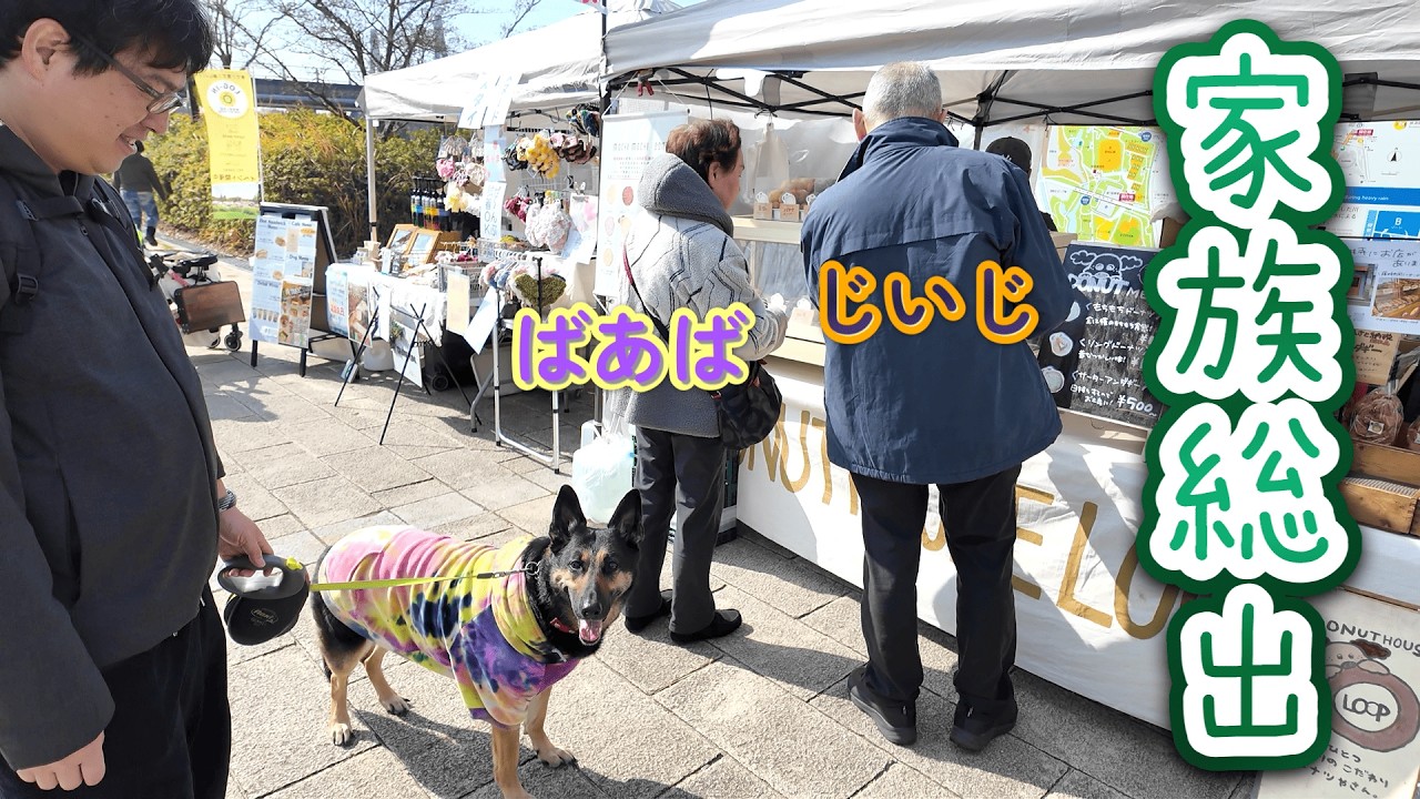 When We Took Our Dog to a Dog Event with Grandpa and Grandma… She