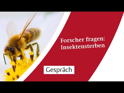 Video: Informationen über Impatiens-Pilz - Pflanzen alternativen für Impatiens Falschen Mehltau