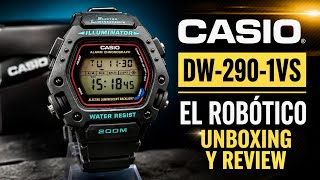 CASIO DW-290-1VS 