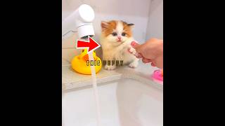 Fooled By His Own Milk