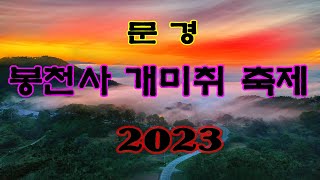 2023 문경 봉천사 힐링 여행기-개미취가 아름다운 일출 안개 별밤 의 만남(Healing video)