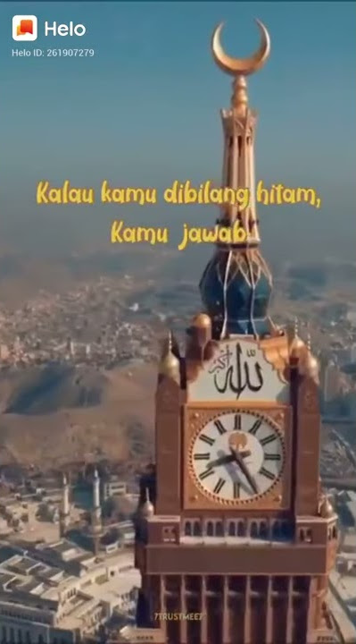https://s.helo-app.com/luckys/ZSJ2fmAQn/
