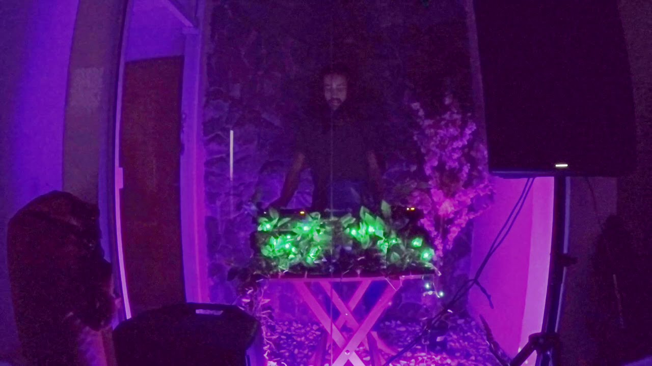 Fora da Caixa, dentro de casa Ep - 1 Marematu