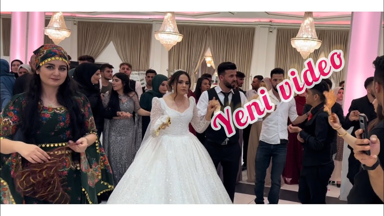 Mikail Cebrail & Fransa Paris düğünü bölüm 2#canlı #düğün #keşfet #youtube #mikailcebrail #