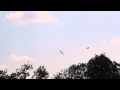 Cosford Air Show - part 2