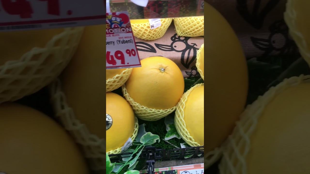 Japan Pomelo 