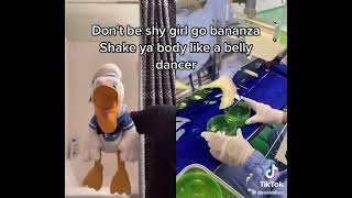 Donaldducc - Oh Thats Satisfying Belly Dancer Singing