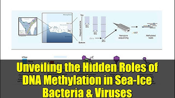 Unveiling the Hidden Roles of DNA Methylation in Sea-Ice Bacteria & Viruses | Astrobiology Discovery