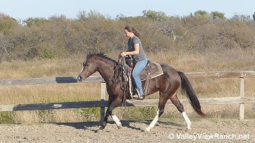 Juan Good Kitty - riding bridleless in outdoor arena - Valley View Ranch