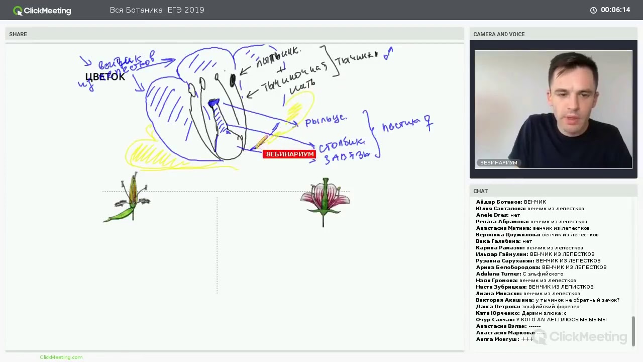 ЕГЭ:\"Генеративные органы и ткани растения\" БЕСПЛАТНО СЛИВ - YouTube