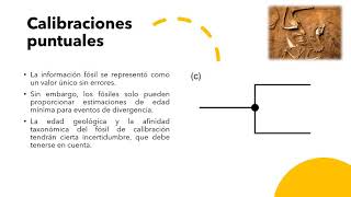 Famous Calibrating molecular estimates of substitution rates and divergence times in birds Profile