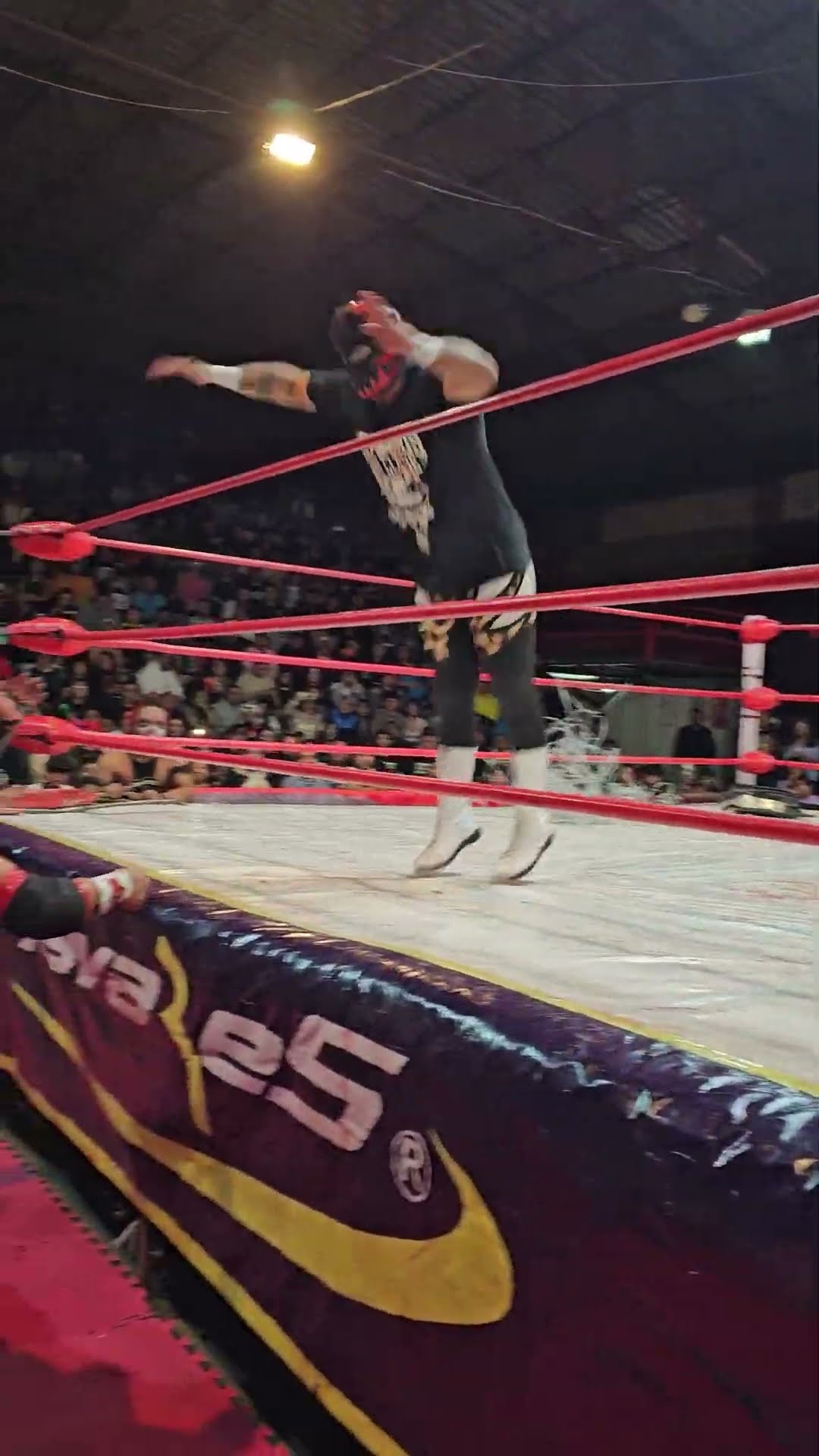 Mortal del Guerrero Jaguar en la Arena López Mateos