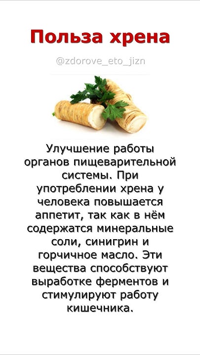 Польза хрена - YouTube