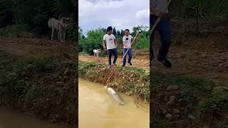 N Funny Comedy Videos Part 58