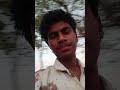 लाइव हाइलाइट