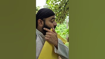 How to get transcript from IGNOU