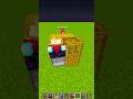La casa più piccola di Minecraft!