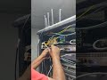 Cisco switch port marking processing #live#shorts#video2026