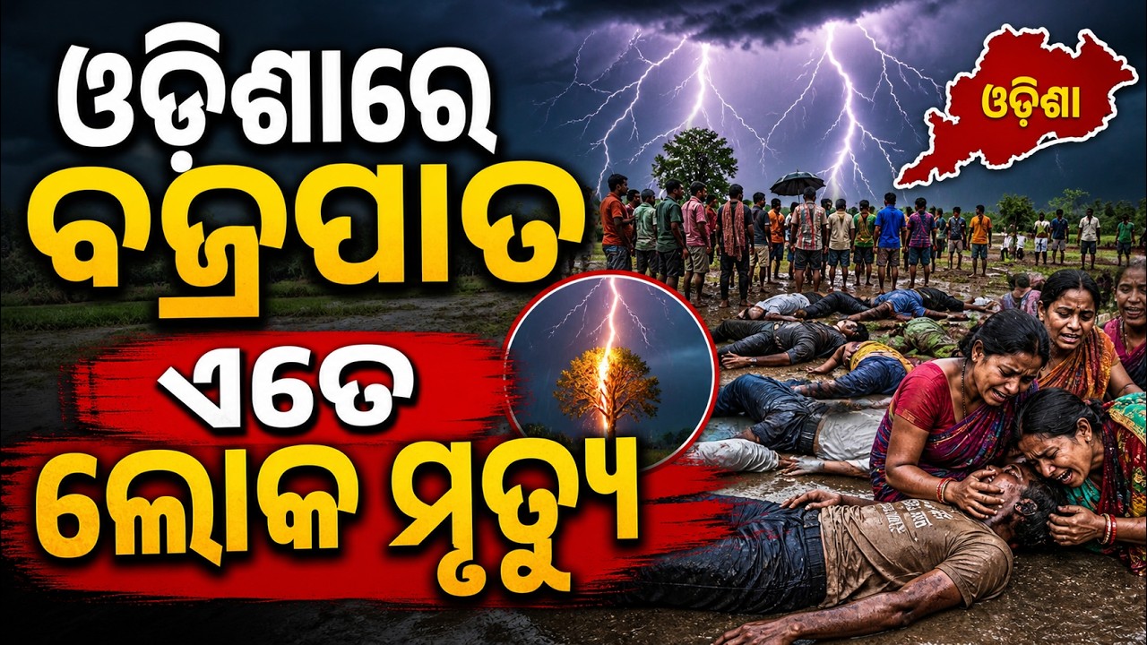 ଓଡ଼ିଶାରେ ବଜ୍ରପାତ ଏତେ ଲୋକ ମୃତ୍ୟୁ |  Lightning Accident in Odisha | Kalabaisakhi Rain | Weather News