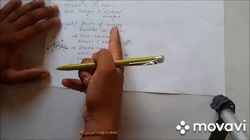 Std10 Science "10 Light: Reflection & Refraction-Part1.1" Video 1 Date:10-04-2020