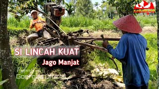 TRAKTOR SAWAH QUICK CAPUNG METAL, SI LINCAH YANG JAGO MANJAT ‼️