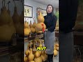 Ils Transforment Une Courge Séchée En Objet De Luxe Ils Transforment Une Courge Séchée En Objet De Luxe