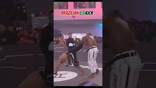 Hard brazilian kick💀 Kung fu master #training #tutorial