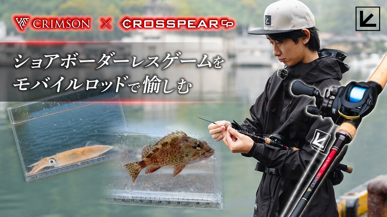 【ライトゲーム】クリムゾンのテレスコモデルで西伊豆ライトソルトゲーム！クロスピアCPも実釣インプレッション！【UMIGO】