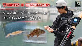 【ライトゲーム】クリムゾンのテレスコモデルで西伊豆ライトソルトゲーム！クロスピアCPも実釣インプレッション！【UMIGO】