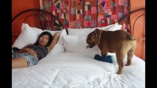 Welcome To The Hotel Figueroa