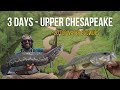 3 days frog fishing for Big BASS and SNAKEHEAD - Upper Chesapeake Bay