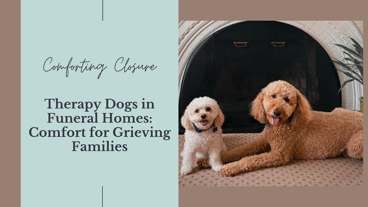 Therapy Dogs in Funeral Homes: Comfort for Grieving Families